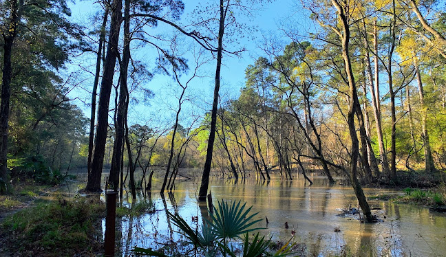 Montgomery County, TX