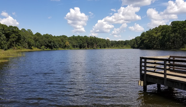 Walker County, TX